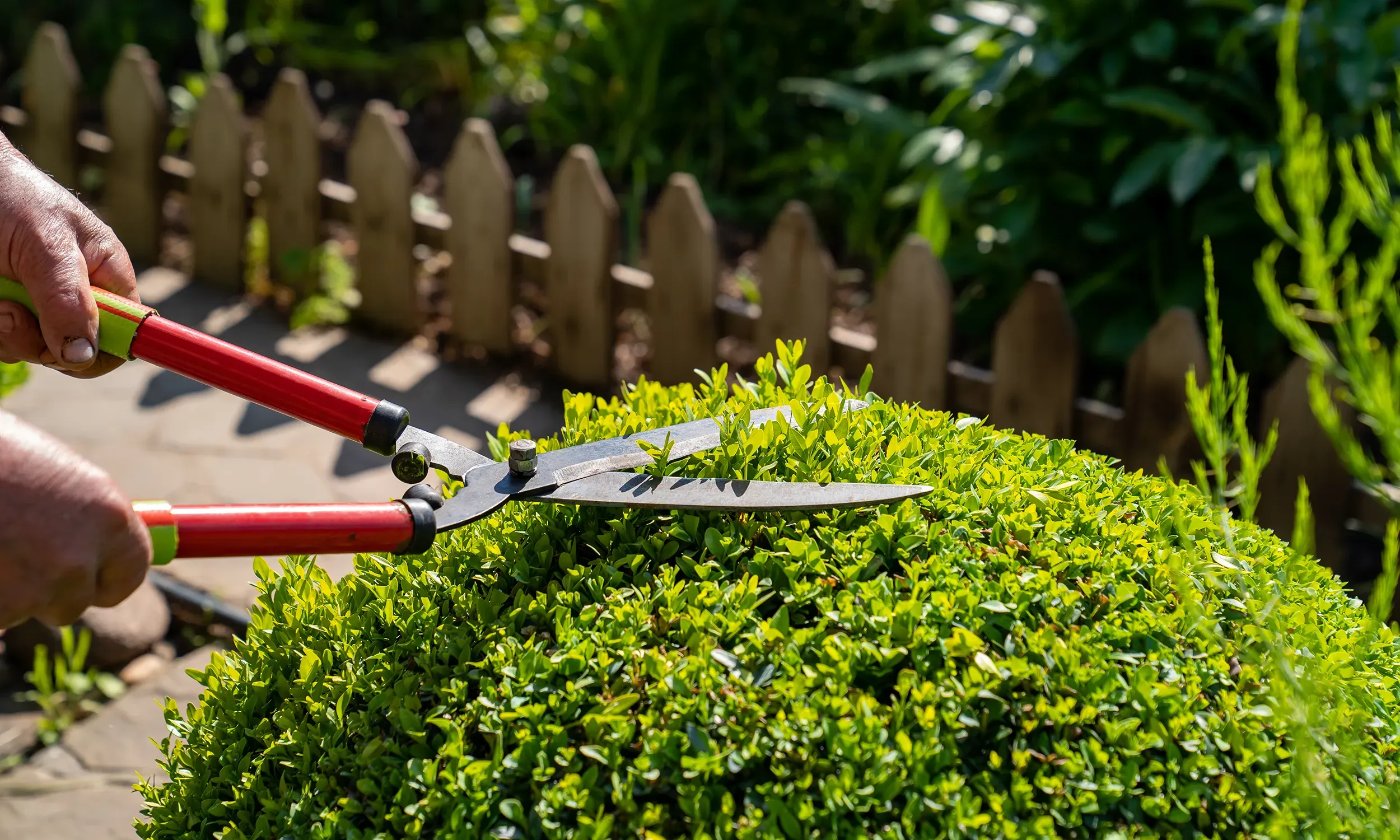 Une entreprise spécialisée dans l'entretien et la création de jardins à Évreux